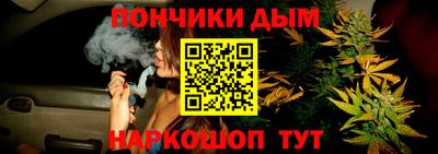 apvp Можга
