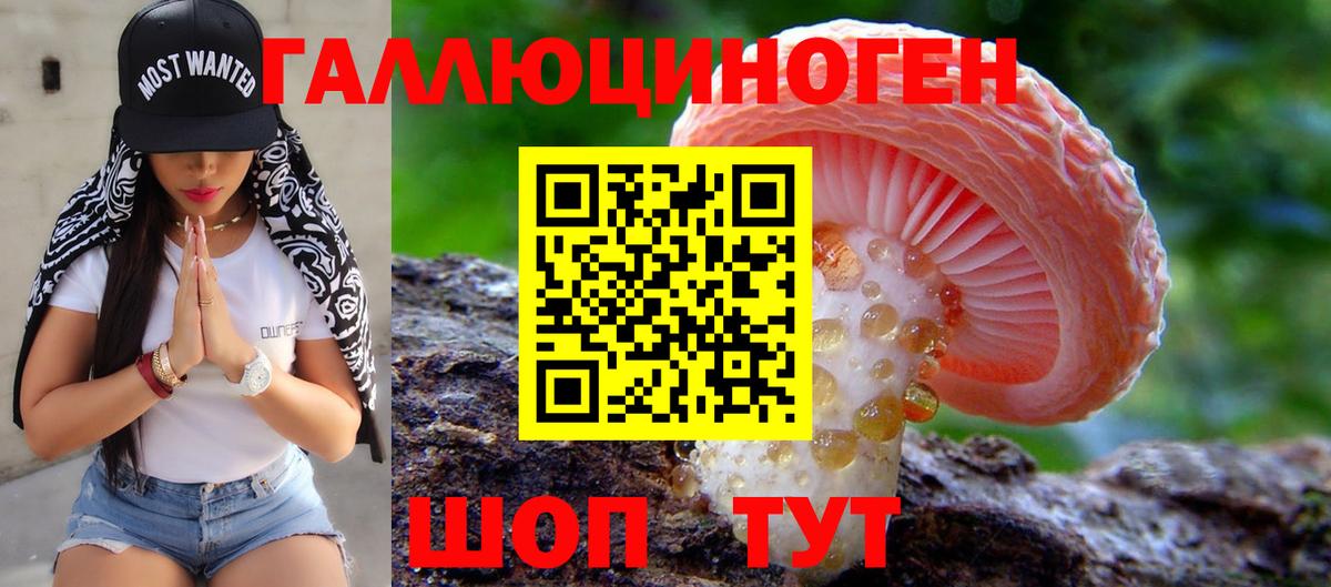 Ивантеевка  Псилоцибиновые грибы Psilocybe  Вход с VPN 