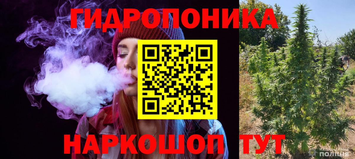 Ивантеевка  МАРИХУАНА ГИДРОПОН  Каннабис OG Kush  Конопля конопля  Вход с VPN 